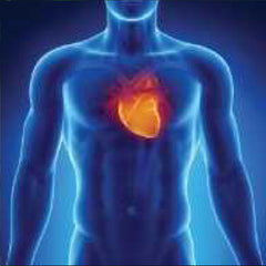 Essentials of Cardiovascular Health