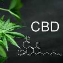 What's the deal with CBD oil?