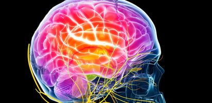 New research elucidates PQQ mechanism of action!