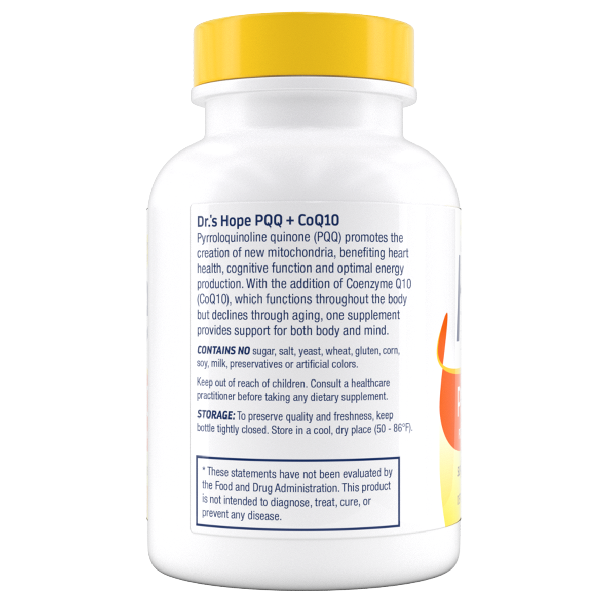 l carnitine 300 L-Carnitine 3000 l carnitine 300 L-Carnitine 3000